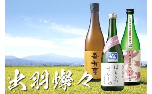 庄内で生まれた酒米「出羽燦々」セット (鶴岡の地酒 720ml×3本) 飲み比べ　うまい庄内 1483186 - 山形県鶴岡市