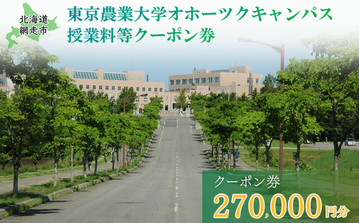 東京農業大学オホーツクキャンパス授業料等270,000円分クーポン券 【 ふるさと納税 人気 おすすめ ランキング 授業料等 大学 東京農業大学 東農大 東京農業 オホーツク キャンパス クーポン 券 学生 北海道 網走市 】 ABBD009