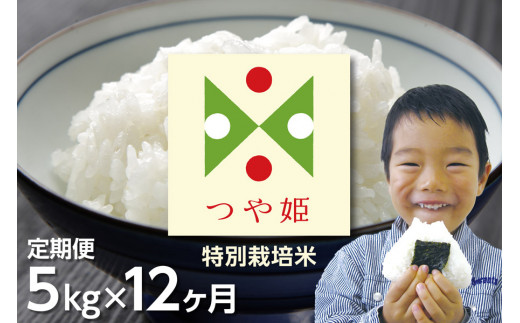 山形県鶴岡市のふるさと納税 【定期便】【令和6年産 新米】つや姫 (特別栽培米) 5kg×12ヶ月　うまい庄内