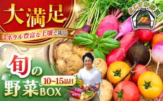 【先行予約】すずなり採れたて野菜BOX（10～15品目）野菜セット 詰め合わせ 季節野菜 やさい 産地直送 旬 新鮮 横須賀【鈴也ファーム】 [AKCE002] 1525836 - 神奈川県横須賀市