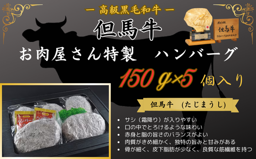 お肉屋さん特製　但馬牛ハンバーグ　5個入り 398337 - 兵庫県新温泉町