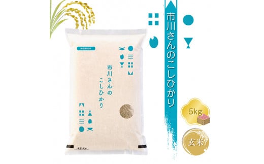 特別栽培米　市川さんのこしひかり 令和6年産【玄米5kg】　コメ　信州　おいしい　ごはん【 米 コメ 備蓄品 仕送り おすそ分け 備蓄米 長野県 佐久市 】 1485113 - 長野県佐久市