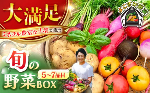 すずなり採れたて野菜BOX（5～7品目）野菜セット 詰め合わせ 季節野菜 やさい 産地直送 旬 新鮮 横須賀【鈴也ファーム】 [AKCE001]  1525835 - 神奈川県横須賀市