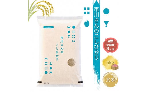 特別栽培米　市川さんのこしひかり 令和6年産【玄米5kg×定期便3カ月】　コメ　信州　おいしい　ごはん【 米 コメ 備蓄品 仕送り おすそ分け 備蓄米 長野県 佐久市 】 1485114 - 長野県佐久市