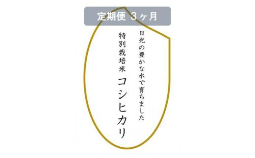 【定期便3ヶ月】令和6年産　特別栽培米コシヒカリ　白米10kg（5kg×2袋） 1147371 - 栃木県日光市