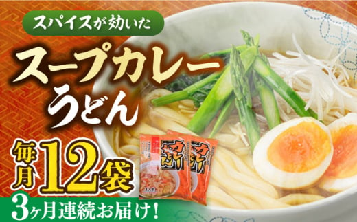 【第3回定期便】 スープカレーうどん (12食入り)≪豊前市≫【富士菊】 うどん カレー 麺 [VAI071]