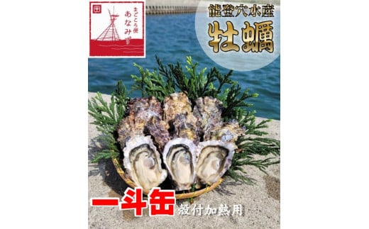 鮮度抜群!獲れたてをお届け! D-9 能登穴水の牡蠣(殻付)加熱用一斗缶