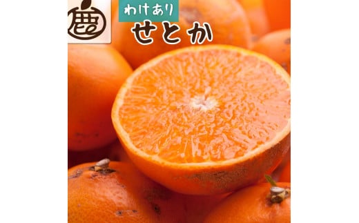 ＜2月より発送＞家庭用 せとか3kg+90g（傷み補償分）【柑橘・春みかんの王様】【わけあり・訳あり】【IKE63】 1484591 - 和歌山県高野町