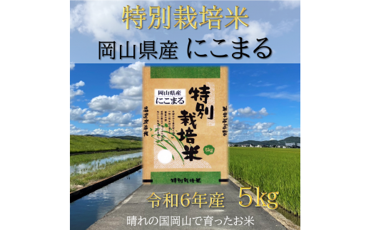 SS-126　【お米　特別栽培米　特Aランク】岡山県産「にこまる」5kg（令和6年産） 1472107 - 岡山県和気町