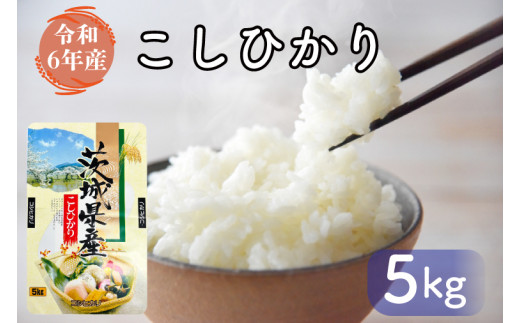 お米好き必見! 7日以内に発送!![令和6年産]茨城県の恵み こしひかり5kg(5kg×1袋) 〜茨城県自慢のこしひかり〜 茨城県 行方市 新鮮 おいしい お米 送料無料 白米 精米 国産 ごはん ご飯 白飯 ゴハン ごはんのおとも(FG-7)