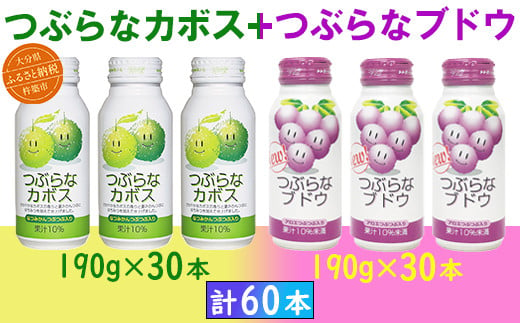 つぶらなカボス30本＋つぶらなブドウ30本（計60本・各1ケース）190g ／ つぶらな つぶらなカボス つぶらなブドウ ジュース 2ケース かぼすドリンク 清涼飲料水 人気 子供 おすすめ 果汁飲料 ご当地ジュース かぼす ぶどう ぶどうジュース 飲料 60本 飲み比べ 詰めあわせ ギフト プレゼント セット 贈答 家庭用 JAフーズおおいた ＜131-204_6＞ 1485240 - 大分県杵築市