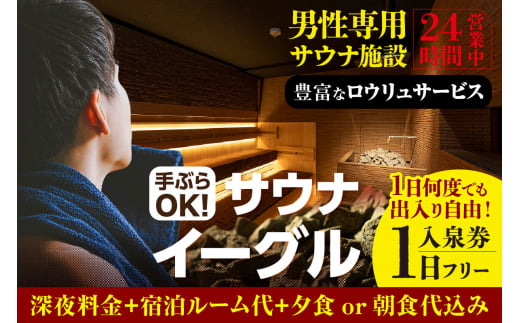 【ふるさと納税限定】　サウナイーグル１日フリー入泉券（深夜料金・宿泊ルーム代・夕食or朝食込み。１日何度でも出入り自由）		（1709） 1475709 - 愛知県知立市