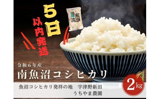 【5日以内発送/令和6年産/2kg】南魚沼産コシヒカリ　うちやま農園のお米【発祥の地】 460587 - 新潟県南魚沼市