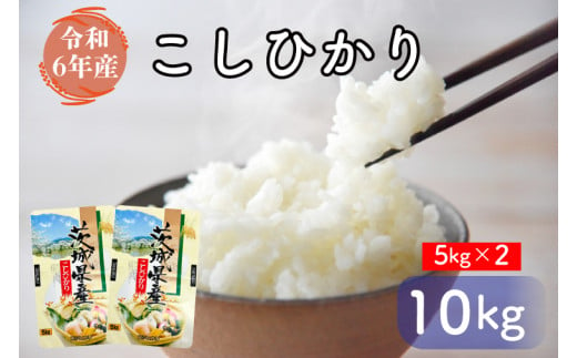 お米好き必見！ ７日以内に発送！！【令和６年産】茨城県の恵み こしひかり10kg（5kg×2袋） ～茨城県自慢のこしひかり～　茨城県 行方市 新鮮 おいしい お米  送料無料 白米 精米 国産 ごはん ご飯 白飯 ゴハン ごはんのおとも(FG-8) 1085397 - 茨城県行方市