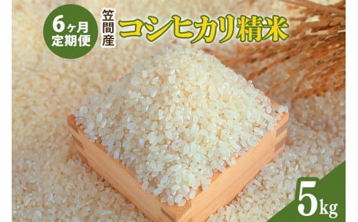 【6カ月定期便】 令和6年度 笠間産 コシヒカリ 5kg (5kg×6回 計30kg) 精米 お米 米 白米 ご飯 茨城県 1489370 - 茨城県笠間市