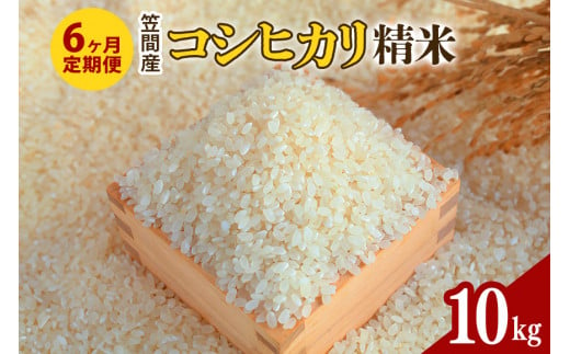 【6カ月定期便】 令和6年度 笠間産 コシヒカリ 10kg (10kg×6回 計60kg) 精米 お米 米 白米 ご飯 茨城県 1489367 - 茨城県笠間市