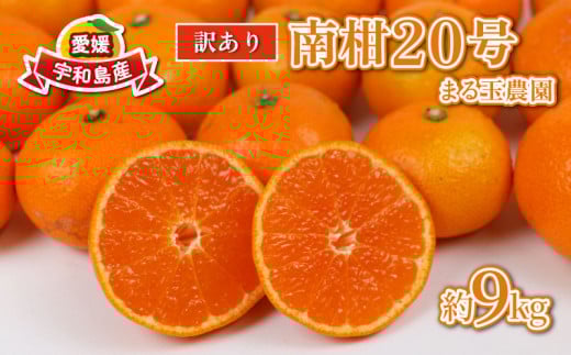 訳あり みかん 南柑20号 9kg まる玉農園 温州みかん 蜜柑 温州 うんしゅう 柑橘 濃厚 甘い mikan 酸味 果物 くだもの 訳アリ 訳あり品 訳有り わけあり 愛媛みかん 愛媛ミカン 愛媛県産 フルーツ 産地直送 農家直送 数量限定 国産 愛媛 宇和島 B010-172001 1279485 - 愛媛県宇和島市