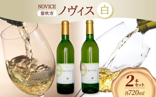 【2024年11月～発送】白ワイン NOVICE ノヴィス 白 2種 セット シュール・リー 甲州＆甲州 720ml 各1本 計2本 フルボトル 日川中央葡萄酒 山梨県 笛吹市 177-7-21