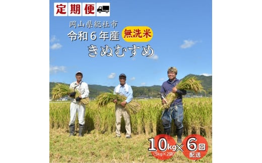 【定期便】令和6年産＜無洗米＞総社市産きぬむすめ　10kg〔6回配送〕24-108-001 1323025 - 岡山県総社市