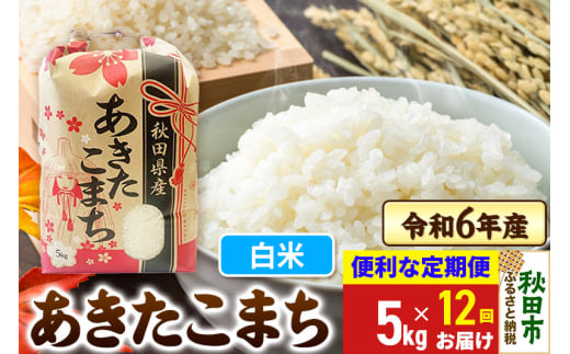 《定期便12ヶ月》 あきたこまち 5kg 令和6年産 新米 【白米】秋田県産 1310195 - 秋田県秋田市