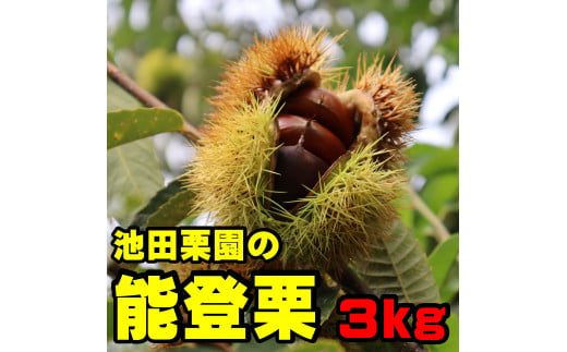 池田栗園の能登栗3kg