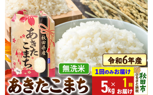 あきたこまち 5kg 令和6年産 新米 【1回のみお届け】【無洗米】秋田県産 1310190 - 秋田県秋田市