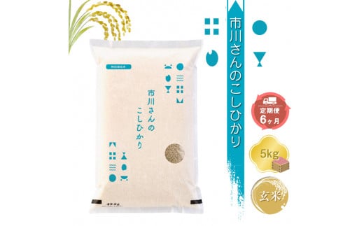 特別栽培米　市川さんのこしひかり 令和6年産【玄米5kg×定期便6カ月】　コメ　信州　おいしい　ごはん【 米 コメ 備蓄品 仕送り おすそ分け 備蓄米 長野県 佐久市 】 1485115 - 長野県佐久市