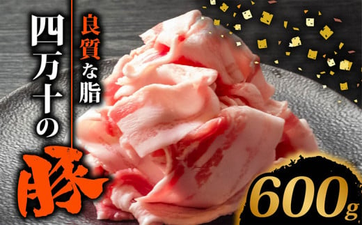 四万十ポークスライス600g | 300g × 2パック セット 豚肉 豚バラ肉 小分け 小間切れ スライス 切り落とし 冷凍 真空パック 簡単調理 細切れ 大容量 肉 高知県 須崎市 TM035 1487348 - 高知県須崎市