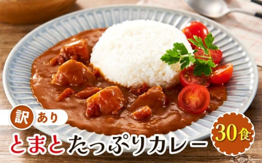 訳あり とまとたっぷりカレー（160ｇ×30袋）| 野菜の旨味 簡易包装 トマト カレー 人気 野菜たっぷり 子供 おいしい ふるさと清見21 DC023 1468924 - 岐阜県高山市