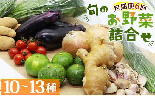 定期便6回コース 高知県香南市産 旬のお野菜詰合せ(10～13品目) - やさい おまかせ セット 土佐野菜 新鮮 Wpr-0009 426836 - 高知県香南市