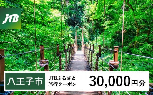 【八王子市】JTBふるさと旅行クーポン（Eメール発行）（30,000円分） 1485414 - 東京都八王子市