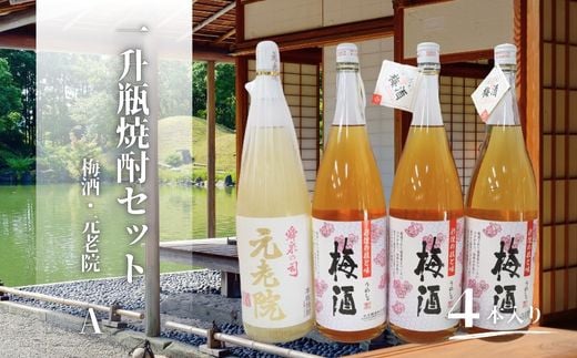 No.3081　元老院・梅酒（一升瓶）４本セットA