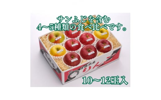 ＜令和6年産先行受付＞お楽しみ♪青森県産りんご「サンふじ」他 食べ比べセット＜離島・沖縄配送不可＞【1423600】 998037 - 青森県青森市