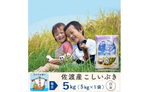 【3か月定期便】佐渡島産 こしいぶき 白米5Kg 令和6年産 1484307 - 新潟県佐渡市