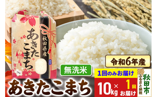 あきたこまち 10kg(5kg×2袋)  令和6年産 新米 【1回のみお届け】【無洗米】秋田県産 1310198 - 秋田県秋田市