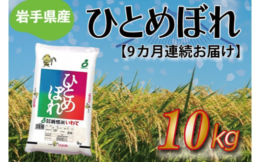 ★令和6年産★【9ヶ月定期便】ひとめぼれ10kg 岩手県産 (AE180)