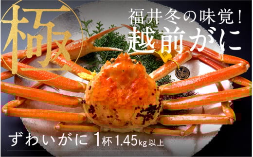 【数量限定】【産地直送】福井冬の味覚！越前がに 極 1杯（1.45kg以上） [P-00912] / ズワイガニ ズワイ蟹 ずわい蟹 ずわい 剥き身 脚 爪 脚 かにしゃぶ カニ鍋 蟹 お歳暮 カニ かに ふるさと納税かに 547927 - 福井県鯖江市