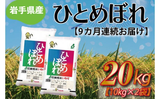 ★令和6年産★【9ヶ月定期便】ひとめぼれ20kg（10kg×2袋） 岩手県産 (AE183)