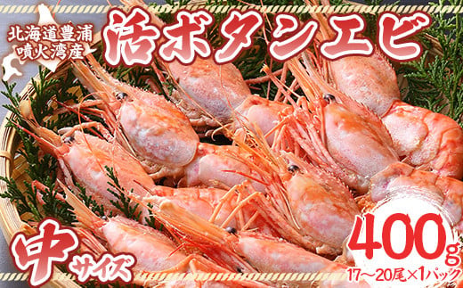 活ボタンエビ 中サイズ 400g（17～20尾）×1パック 北海道 噴火湾産 【 ふるさと納税 人気 おすすめ ランキング 魚介類 えび 海老 牡丹海老 ボタンエビ おいしい 美味しい 新鮮 北海道 豊浦町 送料無料 】 TYUR047