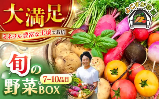 【先行予約】すずなり採れたて野菜BOX（7～10品目）野菜セット 詰め合わせ 季節野菜 やさい 産地直送 旬 新鮮【鈴也ファーム】 [AKCE003] 1525843 - 神奈川県横須賀市