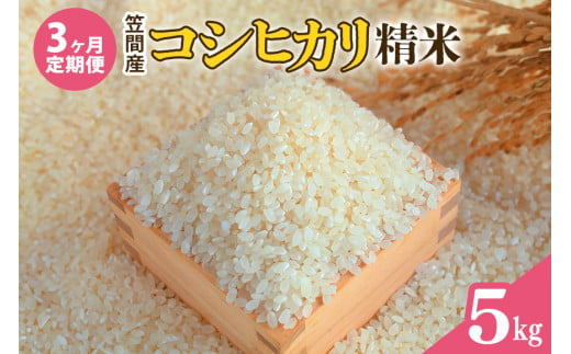 【3カ月定期便】 令和6年度 笠間産 コシヒカリ 5kg (5kg×3回 計15kg) 精米 お米 米 白米 ご飯 茨城県 1489369 - 茨城県笠間市