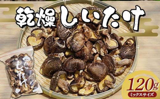 勝山さんの乾燥椎茸 120g（ミックスサイズ）岩手県山田町 三陸山田 岩手三陸産 椎茸 原木 野菜 きのこ YD-716 1494695 - 岩手県山田町