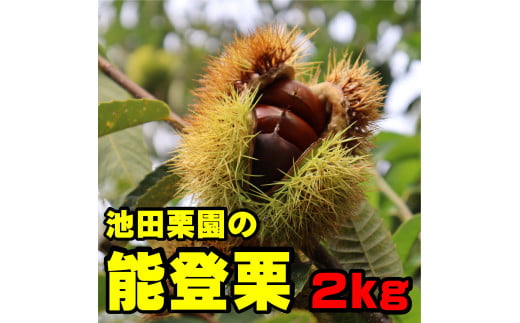 池田栗園の能登栗2kg 1485533 - 石川県穴水町