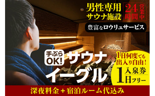 【ふるさと納税限定】　サウナイーグル１日フリー入泉券（深夜料金・宿泊ルーム代込み。１日何度でも出入り自由）		（1708） 1475718 - 愛知県知立市