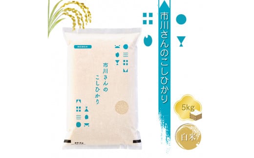 特別栽培米　市川さんのこしひかり 令和6年産【白米5kg】　精米　コメ　信州　おいしい　ごはん【 米 コメ 備蓄品 仕送り おすそ分け 備蓄米 長野県 佐久市 】 1485110 - 長野県佐久市