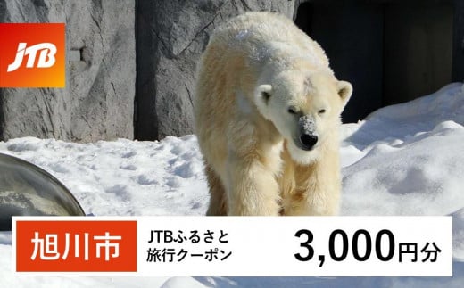 【旭川市】JTBふるさと旅行クーポン（Eメール発行）（3,000円分）