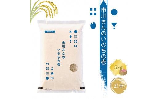 特別栽培米　市川さんのいのちの壱　令和6年産【玄米5kg】　コメ　信州　希少　おいしい　ごはん【 米 コメ 備蓄品 仕送り おすそ分け 備蓄米 長野県 佐久市 】 1485120 - 長野県佐久市