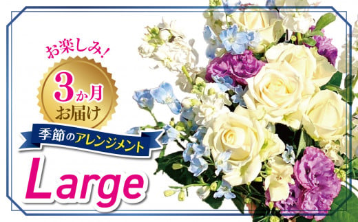 3か月お届け　お楽しみ！季節のアレンジメント「Large」 | お花 お任せ 新鮮 東京都 1114117 - 東京都調布市