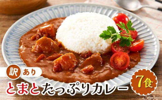 訳あり とまとたっぷりカレー（160ｇ×7袋）| 野菜の旨味 レトルト トマト カレー 人気 野菜たっぷり 子供 おいしい ふるさと清見21 DC021 1468686 - 岐阜県高山市