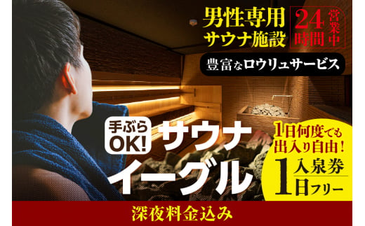 【ふるさと納税限定】　サウナイーグル１日フリー入泉券（深夜料金込み。１日何度でも出入り自由）（1707） 1475717 - 愛知県知立市